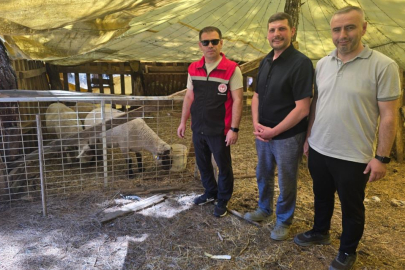Orhaneli'nde Hayvancılık işletmelerine saha kontrolü