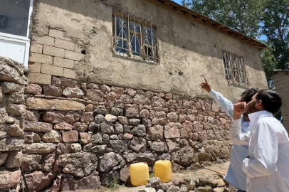 Yüksekova'da Yılanların Evde Yarattığı Endişe ve Tedirginlik