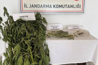 Aydın'da Uyuşturucuya Geçit Yok