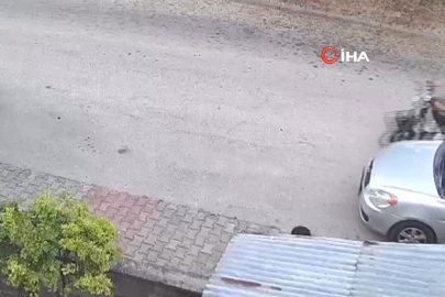 Yavru kediyi önce öptü, sonra boğdu