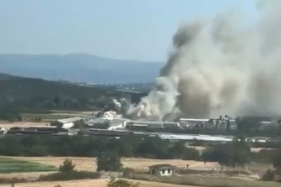 Bursa'da tavuk çiftliğinde yangın
