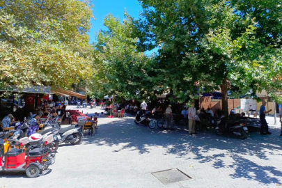Mudanya Hal Meydanı'nda ihale hazırlığı