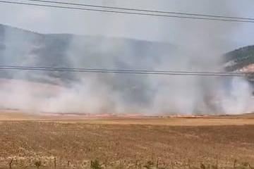 Bursa'da tarlalık alanı ateşe veren şüpheli yakalandı