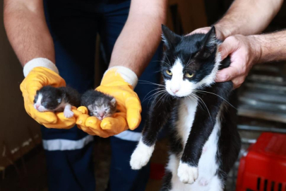 Kaçak bina yıkımında hayat kurtaran müdahale
