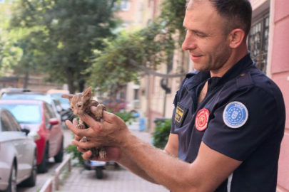 Yağmur suyu giderine sıkışan kediyi itfaiye kurtardı