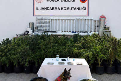 Bodrum'da Uyuşturucu Operasyonu