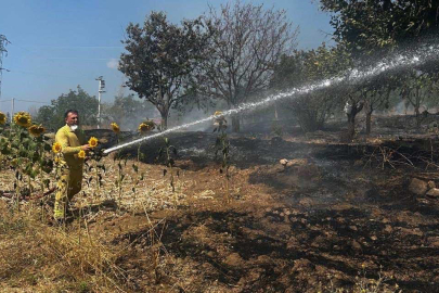 Ot Yangını Korku Dolu Anlara Neden Oldu 