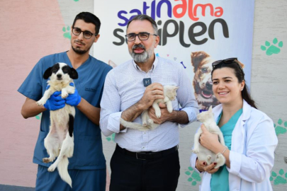 Bir tıkla yuva: Kestel Belediyesi ile sahiplenme artık daha kolay