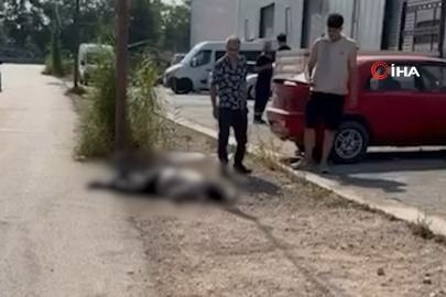 Bursa'da dedikodu cinneti...Eniştesi ve eşini öldürdü