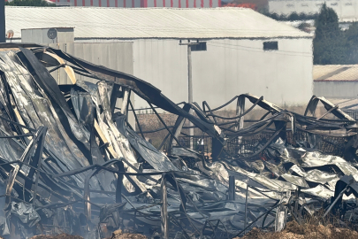 Kocaeli'de kimya fabrikası alevlere teslim oldu