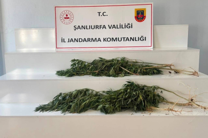 Şanlıurfa'da Uyuşturucuya Geçit Yok