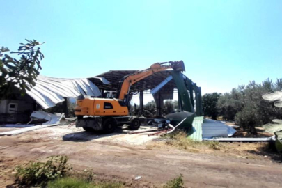 Bursa'da zeytinliğe yapılan kaçak depo böyle yıkıldı