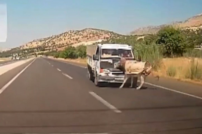 Kamyonetin Eşeğe Çarpma Anları Araç Kamerasına Yansıdı