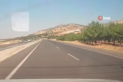 Kamyonetin çarptığı eşek metrelerce havaya fırladı