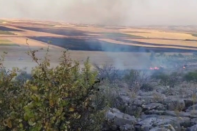 Besni’de Ormanlık Alanda Yangın