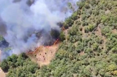 Bursa'da bir orman yangını daha