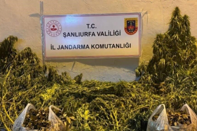 Şanlıurfa'da Uyuşturucu Operasyonu