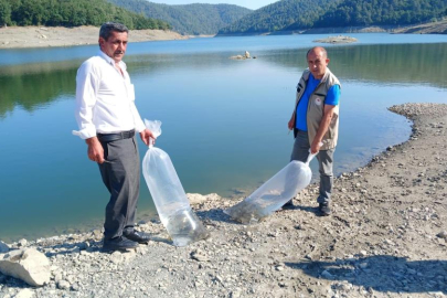 Orhaneli’de Göletlere Yavru Sazan Bırakıldı