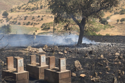 Siirt’te 5 Ayrı Noktada Yangın!