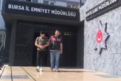 250 saatlik kamera kaydı izlediler, inşaat farelerini böyle çözdüler