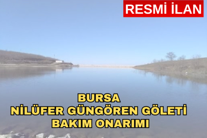Bursa Nilüfer Güngören Göleti Bakım Onarımı