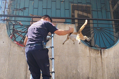 Antalya'da 5 katlı apartmandaki boş dairede çıkan yangın korkuttu