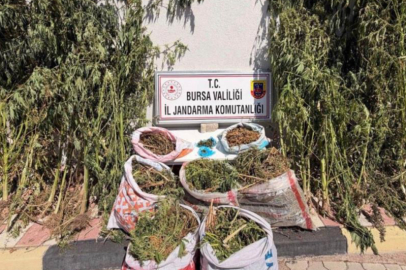 Bursa’da uyuşturucu operasyonu: 22 kilo 675 gram esrar ele geçirildi