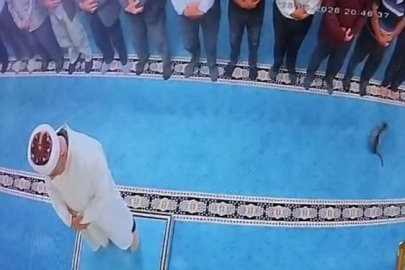 Camide kediyi tekmeleyen şahsa sosyal medyada tepki yağdı