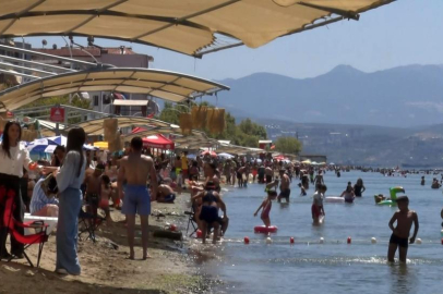 Deniz sezonunun bitmesine yakın Bursa'nın sahillerinden sevindiren haber