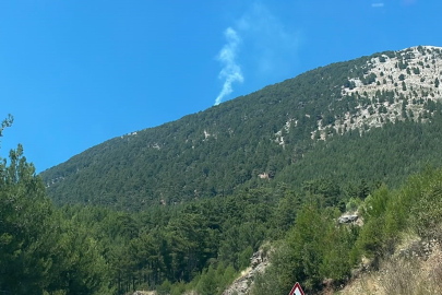 Fethiye'de Orman Alevlere Teslim Oldu