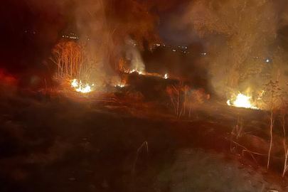 Arazi Yangını Panik Yarattı