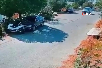 Otomobiliyle köpeklerin üzerinden geçti