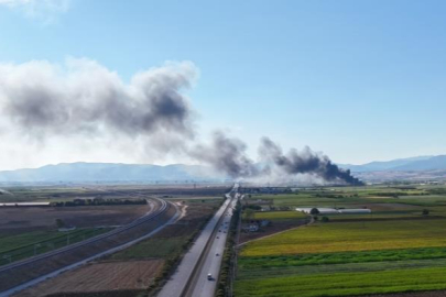Bursa'da siyah incirlerin saklandığı soğuk hava deposunda yangın