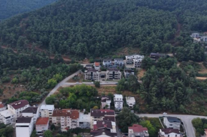 Mahallede 'Ayı' korkusu
