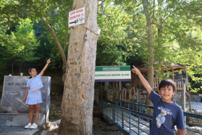 Mesire alanındaki çöp sorununa 'Çöp atan eşektir' yazılı tabelayla tepki