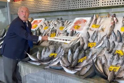 Balık sezonu bereketli başladı: Hamsi 200, palamut 100 liradan başlıyor