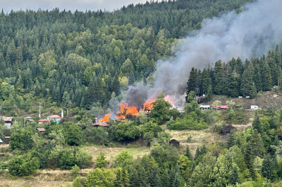 Kastamonu'da 4 Ev Ale Alev Yandı