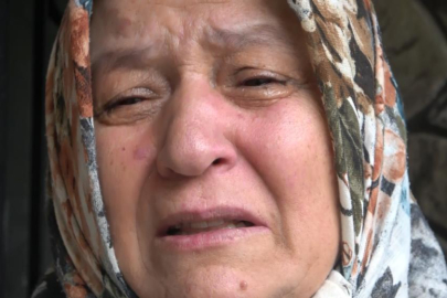 Bursa'da ormanda bulunan ceset 8 aydır kayıp Tolgahan'a mı ait