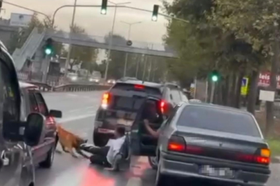 Zinciri Kopuk Köpek Yolda Yürüyen Vatandaşa Saldırdı