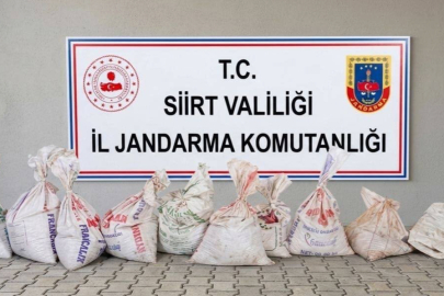 Fıstık Hırsızlarına Suçüstü