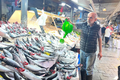 Ete inat 'palamut'
