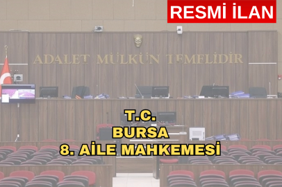 T.C. BURSA 8. AİLE MAHKEMESİ