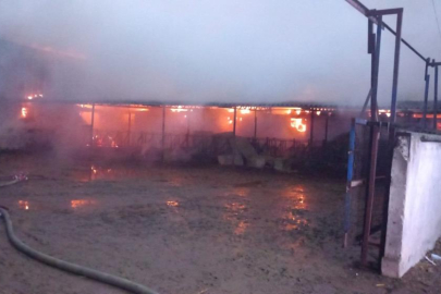 Mustafakemalpaşa’da çiftlik yangını