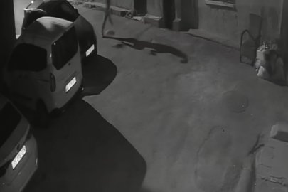 Köpeğini Tekmelemişti...