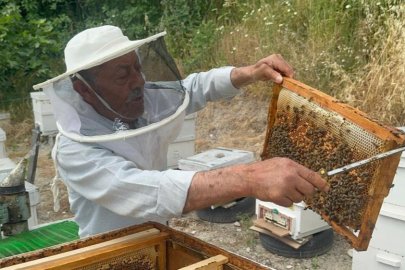 50 yıllık arıcı emekli başgardiyan 20 yıldır Avrupa'ya bal gönderiyor