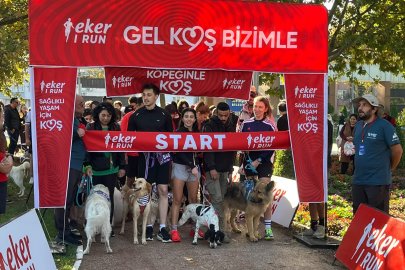 Eker I Run'da bu kez patili dostlar koştu