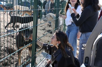Nilüfer'de sahipsiz hayvanlar için yeni merkez açıldı