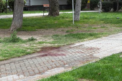 İki Arkadaş Arasında Bıçaklı Kavga