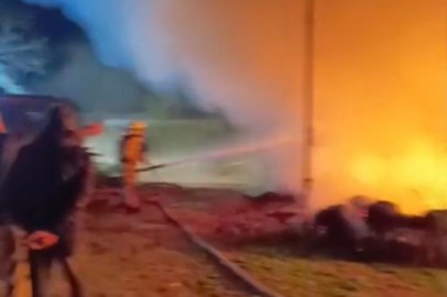 Karacabey'de çiftlik alevlere teslim oldu: Hayvanlar son anda kurtarıldı