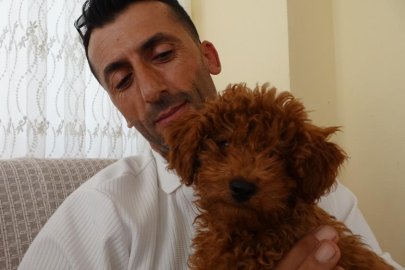 Otobüs şoförünü şaşkına çeviren sessiz yolcu: Oyuncak sandı canlı çıktı